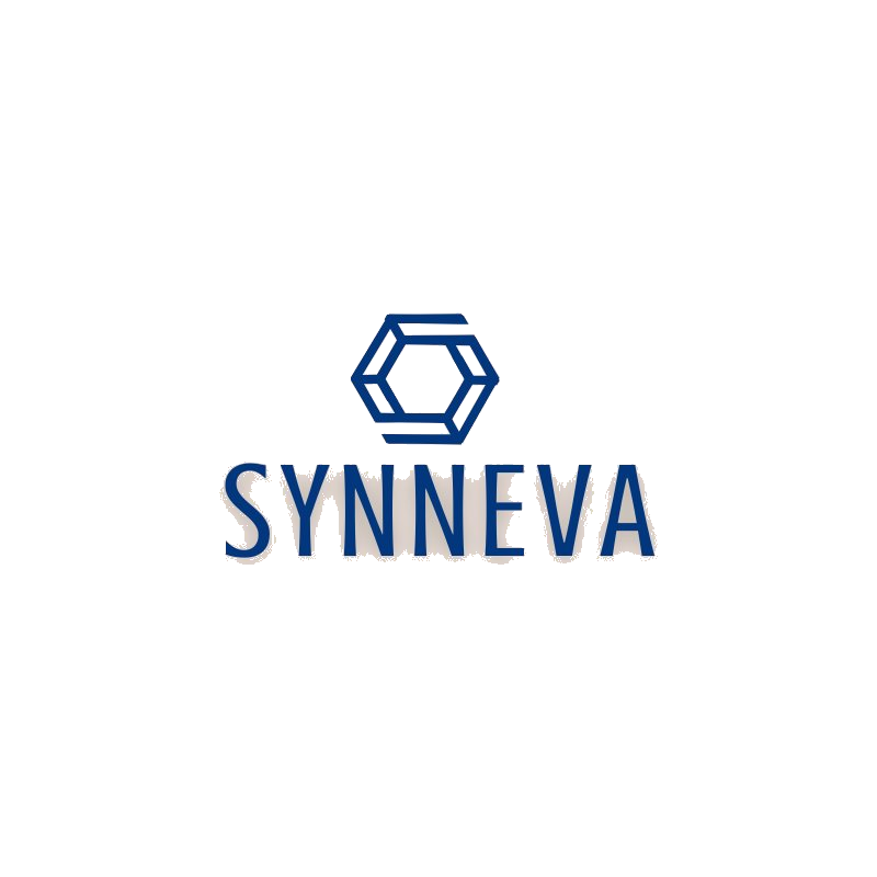 SYNNEVA S.A — Pintura y Decoración